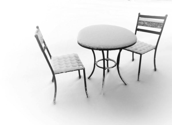 Weather Resistant Outdoor Chairs: 8 Durable Picks for 2025