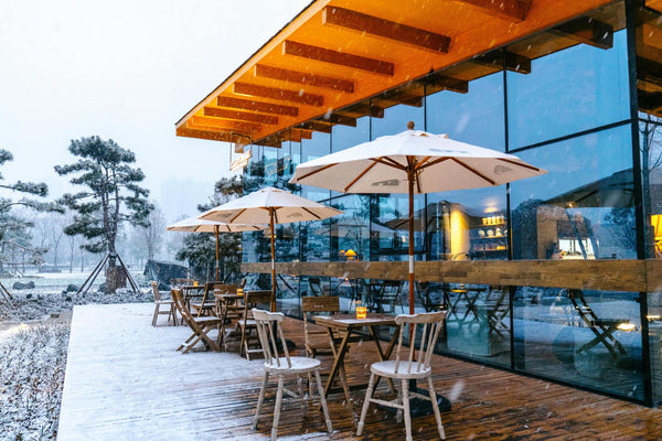 What Are Adirondack Chairs? Definition, History, Materials